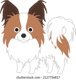 The Papillon is a breed dog of the spaniel type. Papillon is very intelligent and self-assured dogs that have a very easy time learning new tricks. 