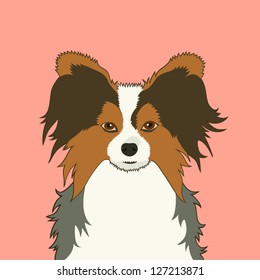 Papillon, The buddy dog