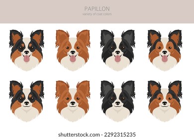 Papillon clipart. Different poses, coat colors set.  Vector illustration