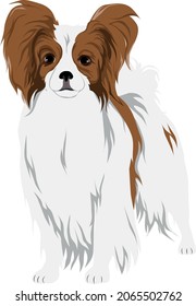 パピヨン 犬 のイラスト素材 画像 ベクター画像 Shutterstock