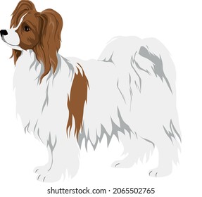 パピヨン 犬 のイラスト素材 画像 ベクター画像 Shutterstock