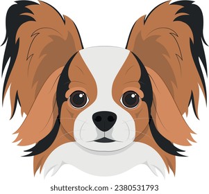 Papillon dog isolated on white background vector illustration