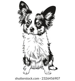 Papillon dog dog outline pencil drawing artwork, black character on white background sketch drawing