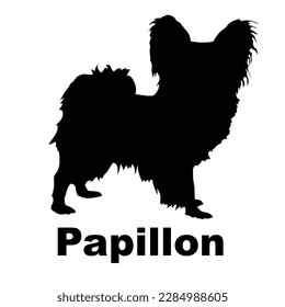 papillon Dog silhouette dog breeds