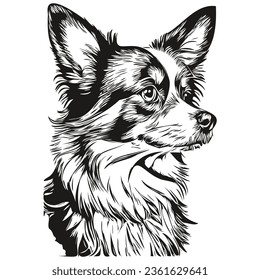 Papillon dog t shirt print schwarz-weiß, süße witzige Rahmenzeichnung Vektorgrafik