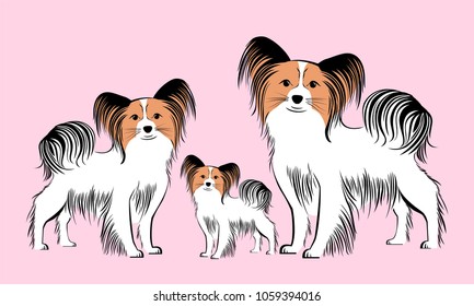 Papillon dogs. Cute dog family isolated on pink background. Vector Illustrated