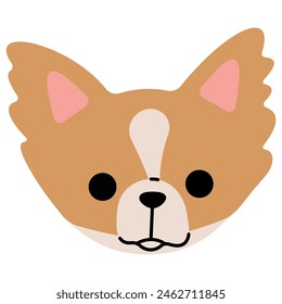 Papillon head cute on a white background, vector illustration.