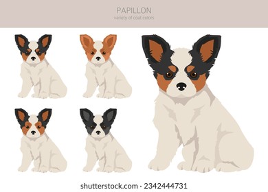 Papillon puppies clipart. Different poses, coat colors set.  Vector illustration