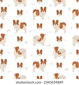 Papillon seamless pattern. Different poses, coat colors set.  Vector illustration