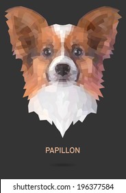 Papillon vector polygon geometric