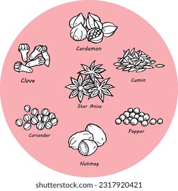 papper,cardamon,star anise, clove,coriander,nutmeg, cumin herb drawing illustration vector