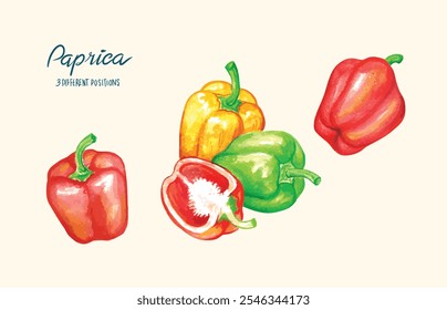 Paprica mão desenho aquarela, ilustração fresca 3 melhores legumes elemento pode ser usado no festival de colheita