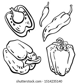 Paprika, bell pepper, chili, green pepper. Set of vegetables in sketchy style isolated on white background. Doodle hand drawn vegetables in black and white. Vector illustration