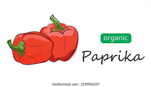 Paprika, bell pepper, red sweet pepper vector illustration.Art illustration organic paprika.