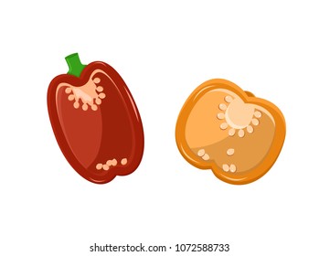 Paprika collection pepper set, vegetables with seeds, vegetarian food and meals, healthy lifestyle vector illustration isolated on white background