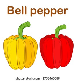 Paprika icon isolated object. Sweet bell pepper red and yellow flat vector illustration, logo. Vegetable harvest from the garden. Organic food.
