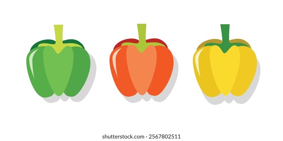 Paprika illustration. Red paprika. Yellow paprika. Green paprika. Paprica collection. Pepper.