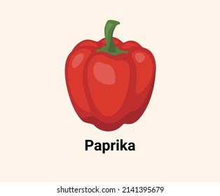 Paprika illustration set. Vegetable icon, market, store, groceries. Vegetable Vector drawing. Hand drawn style.