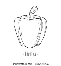 Paprika. Einziger Gegenstand auf weißem Hintergrund. Handgezeichnet.
