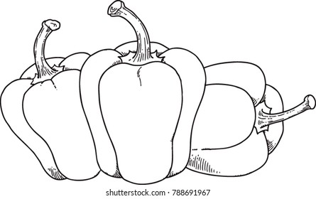 paprika on white background for coloring
