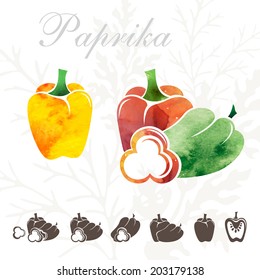 Paprika pepper icons set.