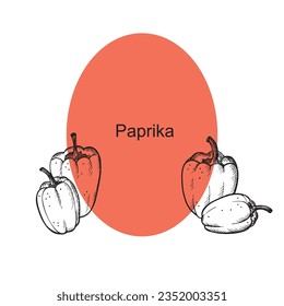 Paprika pepper label frame vector illustration. Peppers vegetables engraving for print, background, template, logo. Paprika harvest, spice food, agriculture, organic farming, hand drawn design element