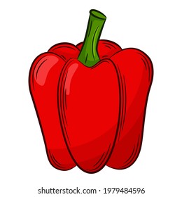 Paprika Pepper. A vegetable in a linear style, drawn by hand. Food ingredient, design element.Color vector illustration with outline. Isolated on a white background.