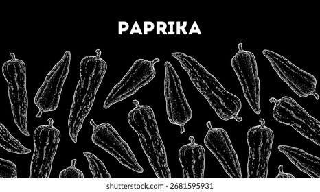 Paprika sketch. Horizontal seamless pattern. Hand drawn vector illustration. Pepper sketch. Kitchen spice