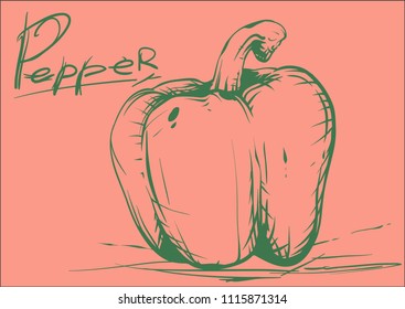 Paprika sketch vector ink draw