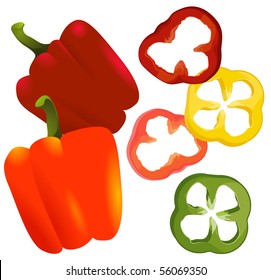 Paprika. Vector.