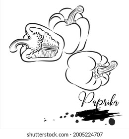 Paprika, vegetables plant, line vector illustration