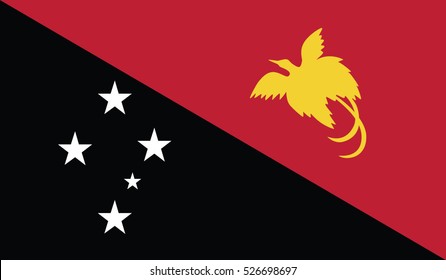 papua new guinea flag on soft and smooth silk texture / flag vector