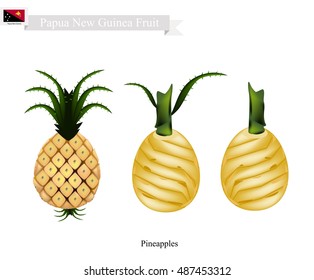 Papua New Guinea Fruit, Illustration of Pineapple. One of The Most Popular Fruits in Papua New Guinea.
