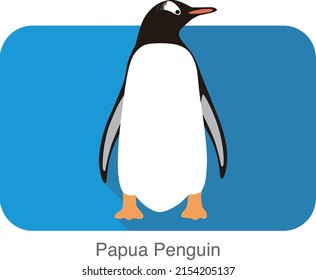 Papua penguin, Gentoo penguin, standing, vector illustration