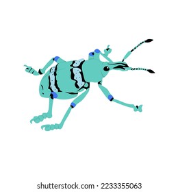 Papuan green weevin, Trigonopterus oblongus is weevil species that can be found in papua