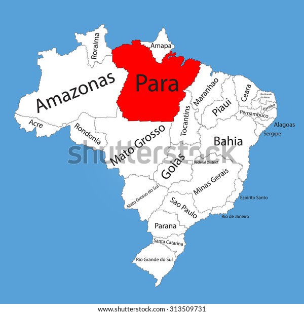 Para Brazil Vector Map Isolated On Stock Vector (Royalty Free) 313509731