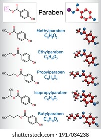 Paraben molecule. Methylparaben, ethylparaben, propylparaben, isopropylparaben, butylparaben. It is antimicrobial, antifungal preservative. Vector illustration