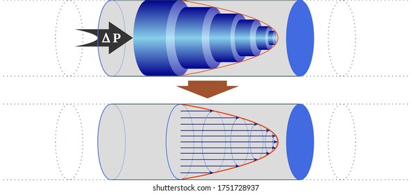 Parabolic Flow Profile For Fluids With Constant Viscosity That Move Through A Pipe