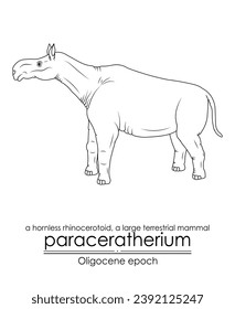 Paraceratherium, ein hornloses Rhinocerotoid, ein großes terrestrisches Säugetier aus der Epoche Oligocene. Schwarz-Weiß-Kunst, perfekt für Färbezwecke und Bildungszwecke.