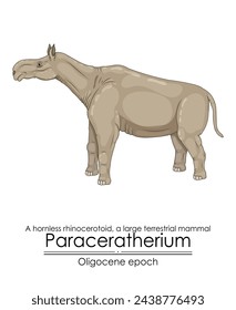 Paraceratherium, ein hornloses Rhinozerotoid, ein großes Landsäugetier aus dem Oligozän. 