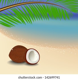 Paradise beach, coconut