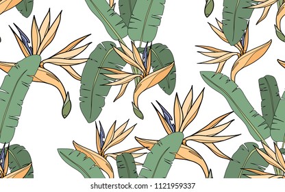 Paradise bird flower. Palm leaves and exotic flowers composition. Vector illustration. Botanical seamless background. Digital nature art.