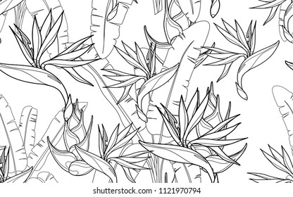 Paradise bird flower. Palm leaves and exotic flowers composition. Vector illustration. Botanical seamless background. Digital nature art.