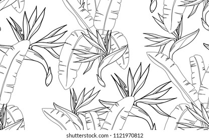 Paradise bird flower. Palm leaves and exotic flowers composition. Vector illustration. Botanical seamless background. Digital nature art.