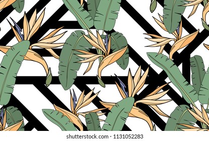 Paradise bird flower, palm leaves and exotic flowers composition. Vector illustration. Botanical seamless background. Digital nature art.