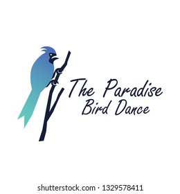 the paradise bird logo design