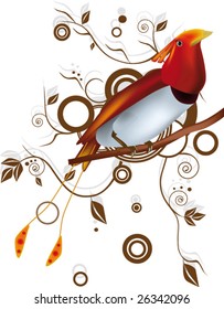 paradise bird and ornament