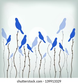 paradise birds on the branches vector