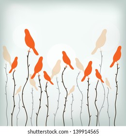 paradise birds on the branches vector