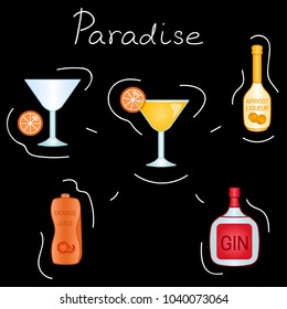 Paradise Cocktail ingredients isolated vector colorful illustration